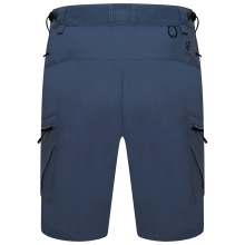 Dare2B Hiking Shorts Tuned In II Short (waterproof) short orion grey Men